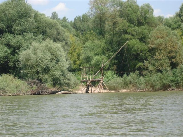 DSC05790 (Medium)